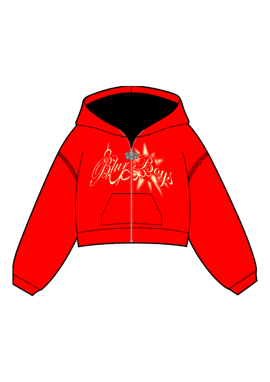 BlurBoys Zip Up Hoodie 5º Aniversario